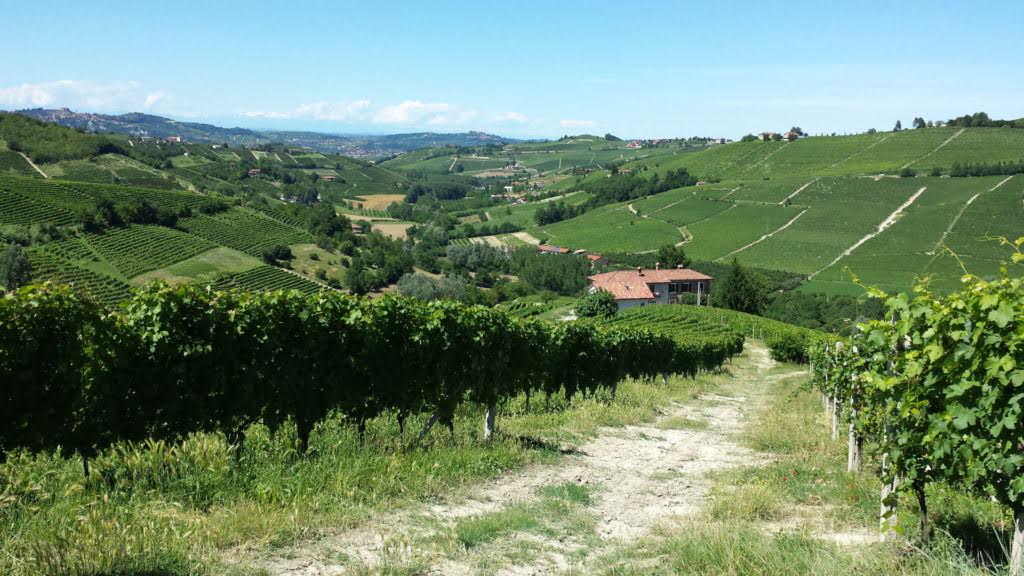 vini rossi piemontesi manera