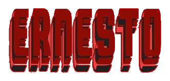 ernesto logo